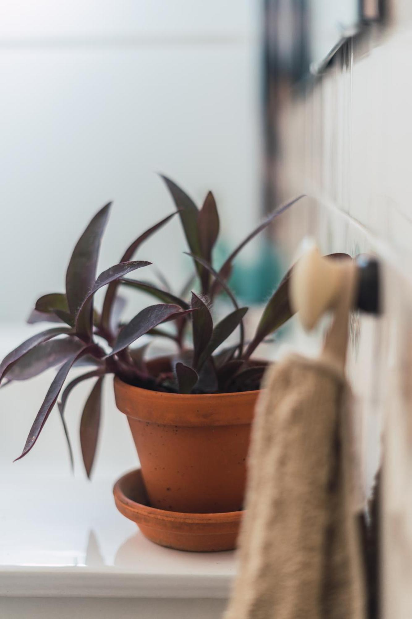 埃斯帕尔蒂纳斯Casa El Jardin别墅 外观 照片